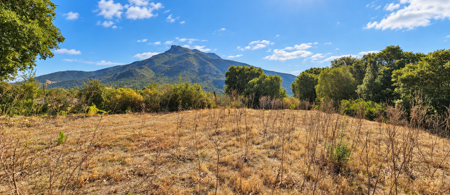photo terrain 01
