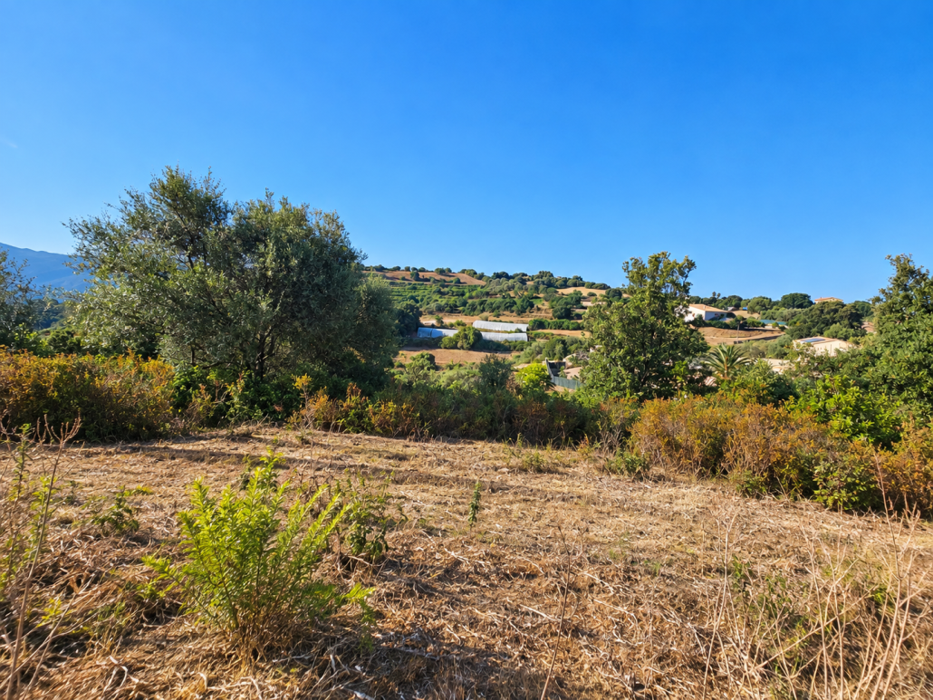 photo terrain 02